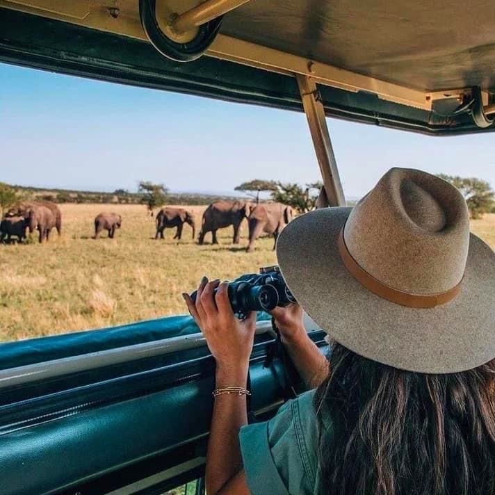 Safaris with a Purpose