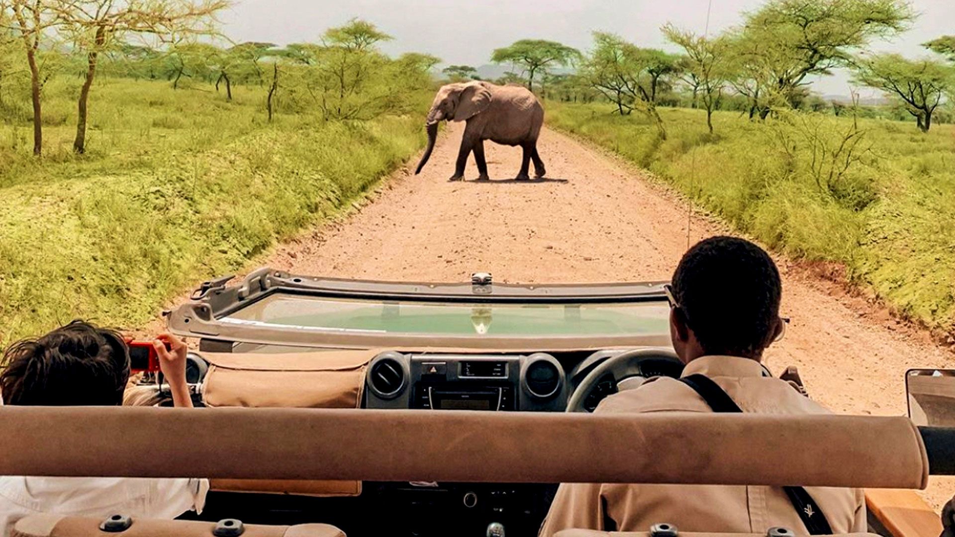 Family Safari Kenya: Complete Guide for Travelling with Kids