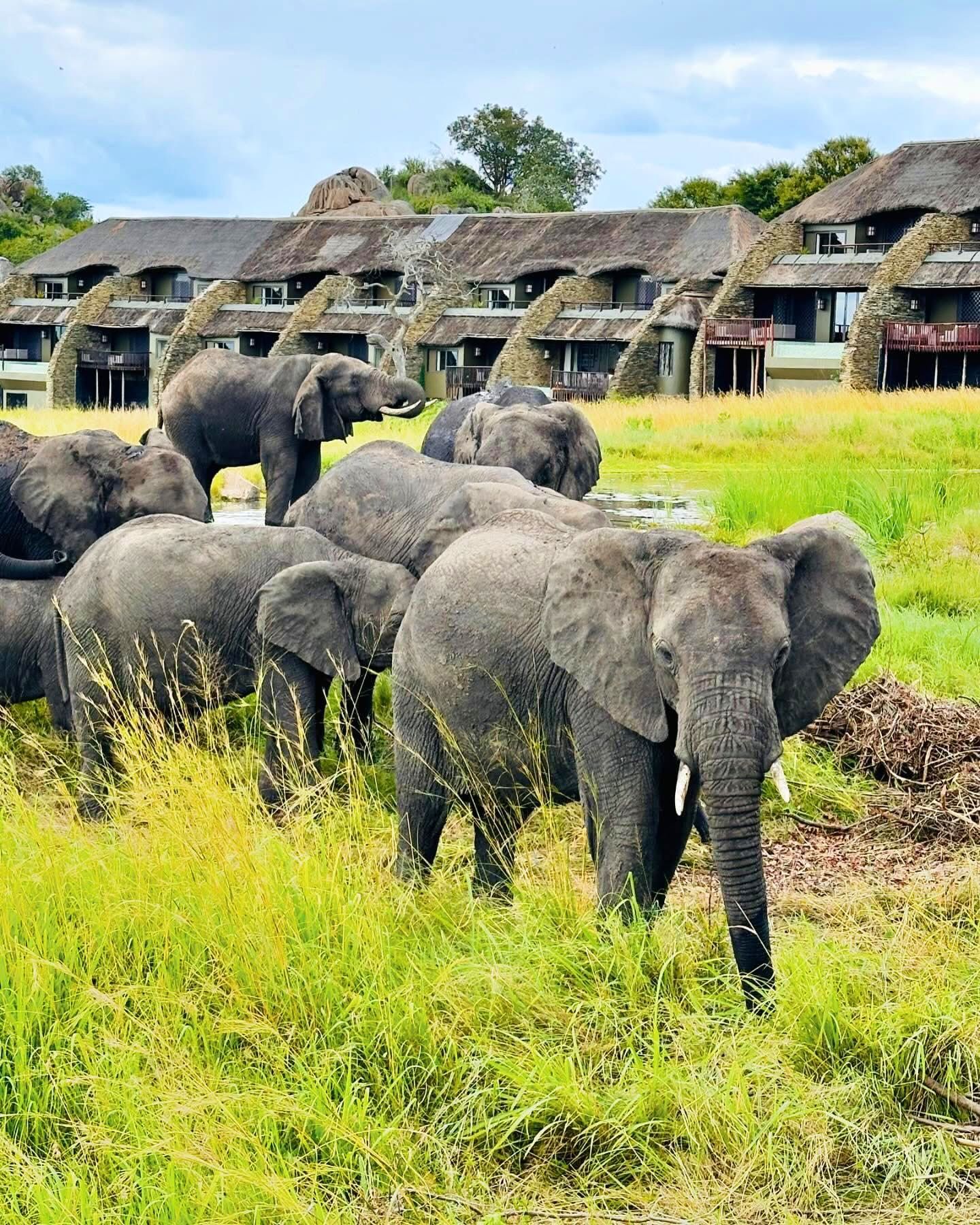 Four Seasons Safari Lodge