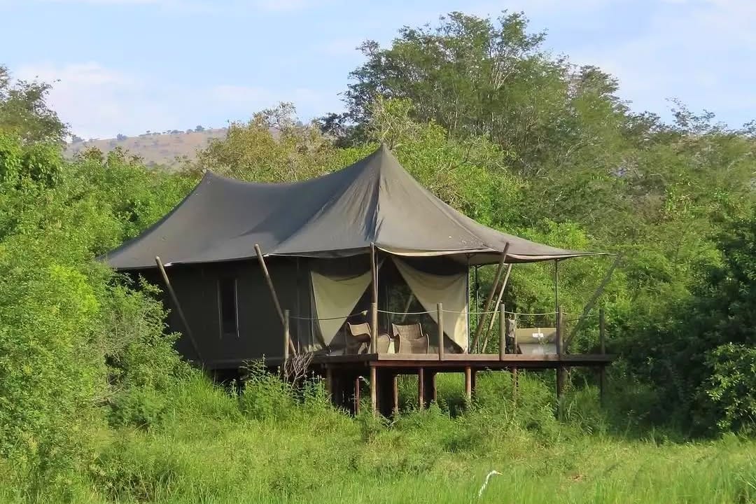 Wilderness Magashi Camp