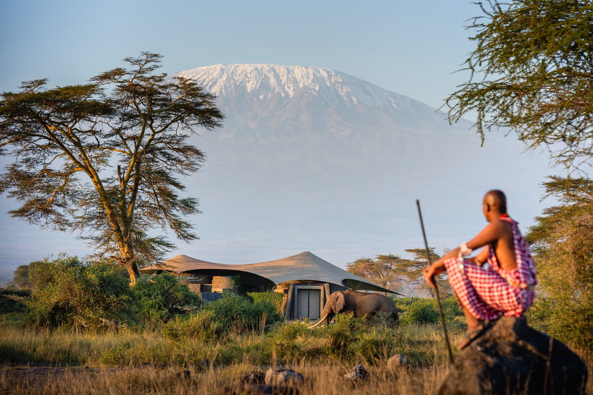 Angama Amboseli