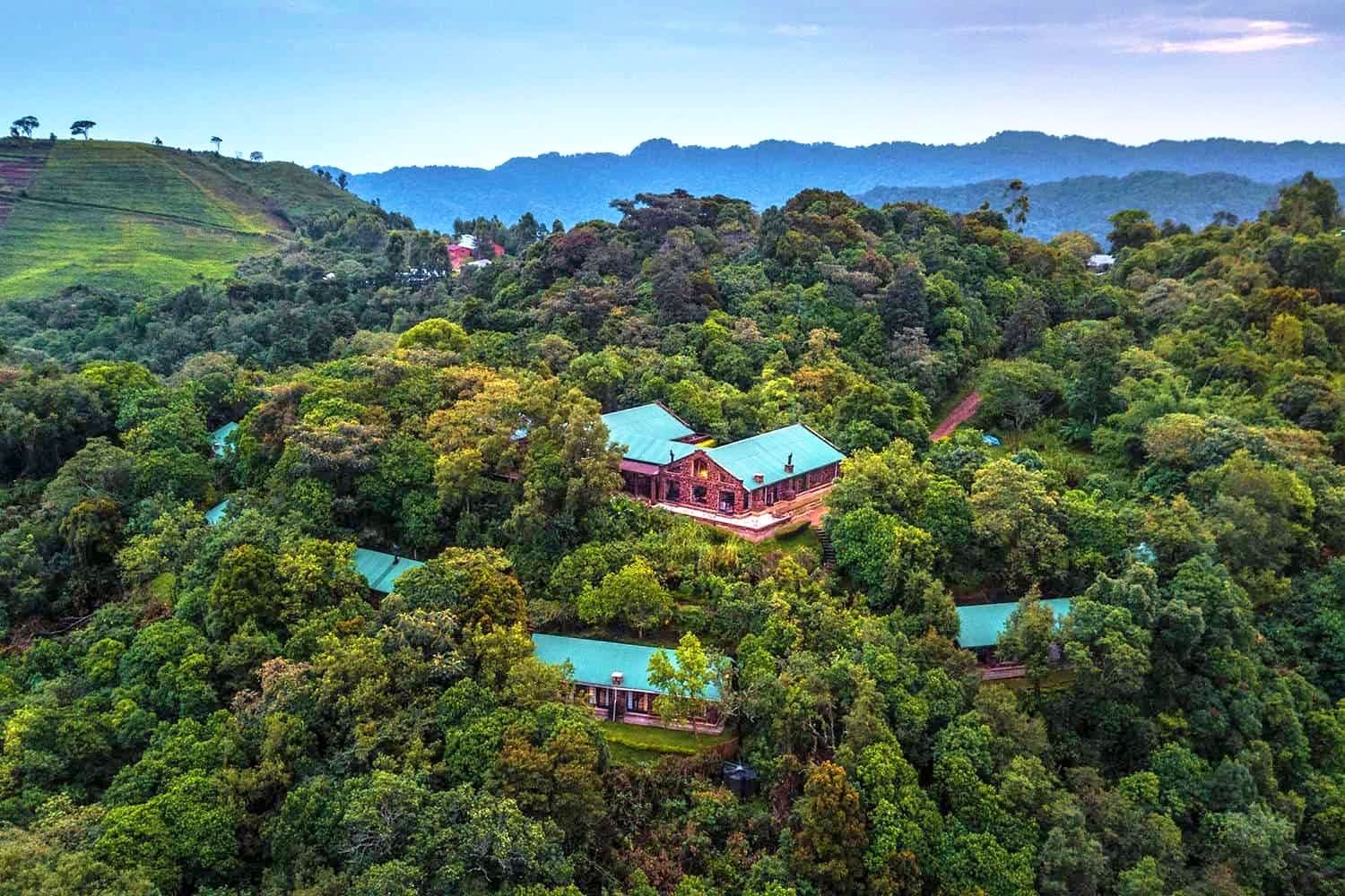 Clouds Mountain Gorilla Lodge