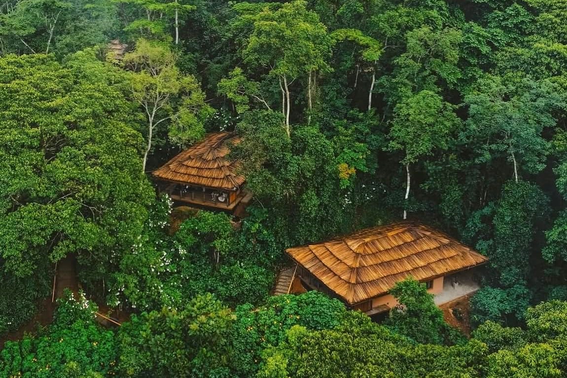 Gorilla Forest Camp