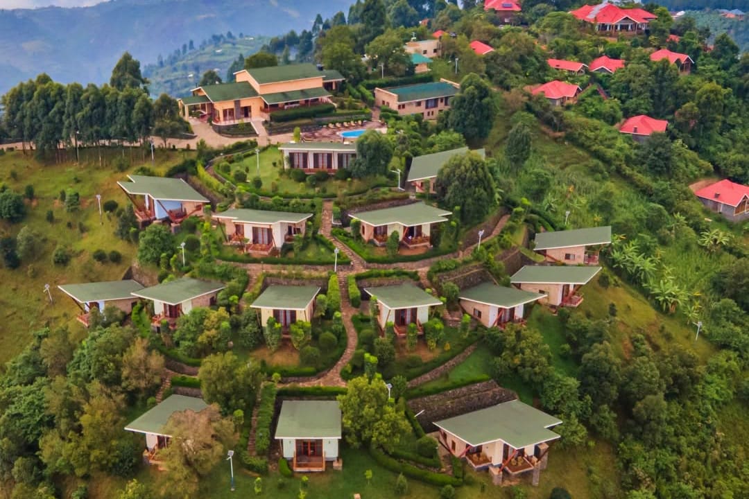 Gorilla Heights Lodge