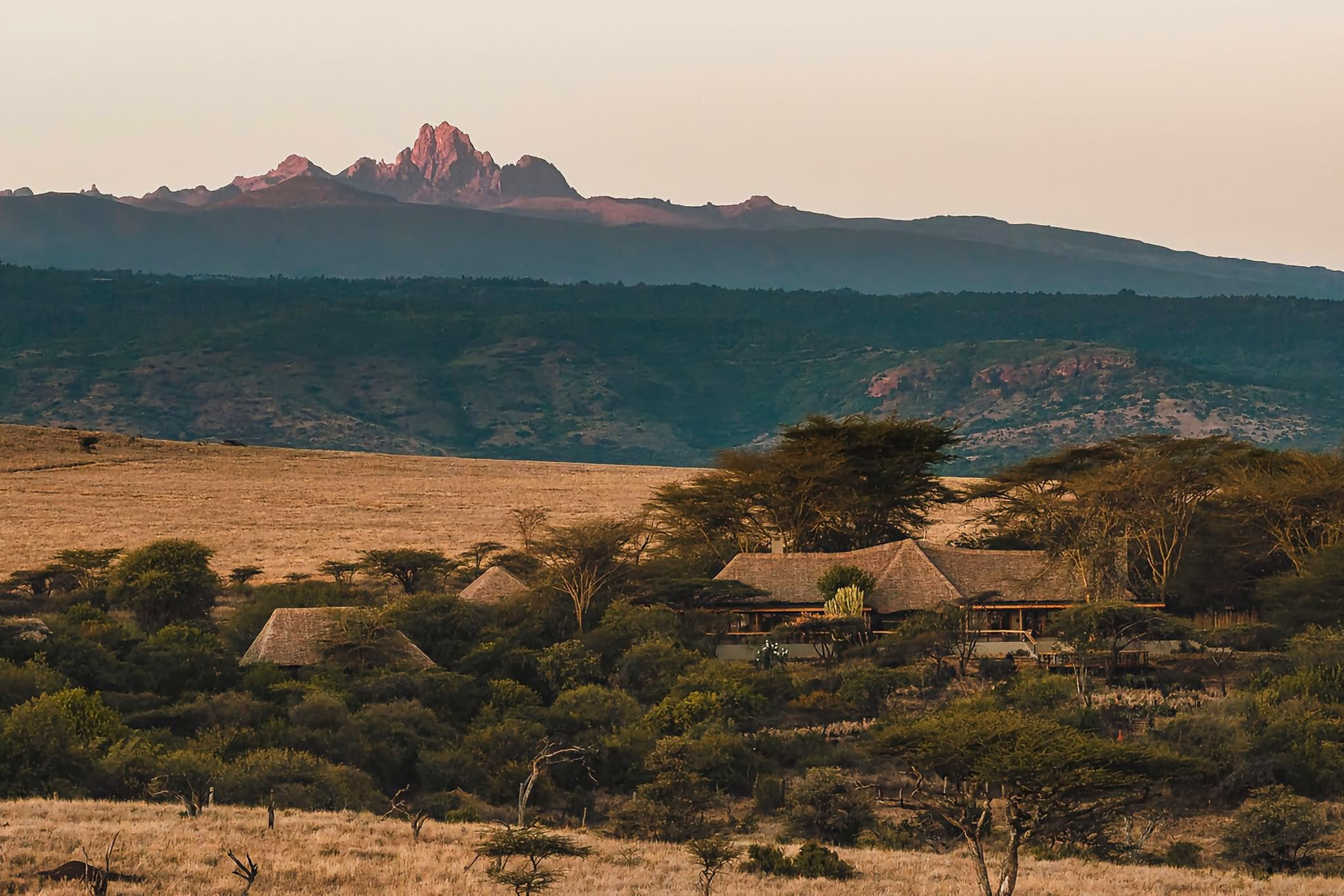 Elewana Lewa Safari Camp