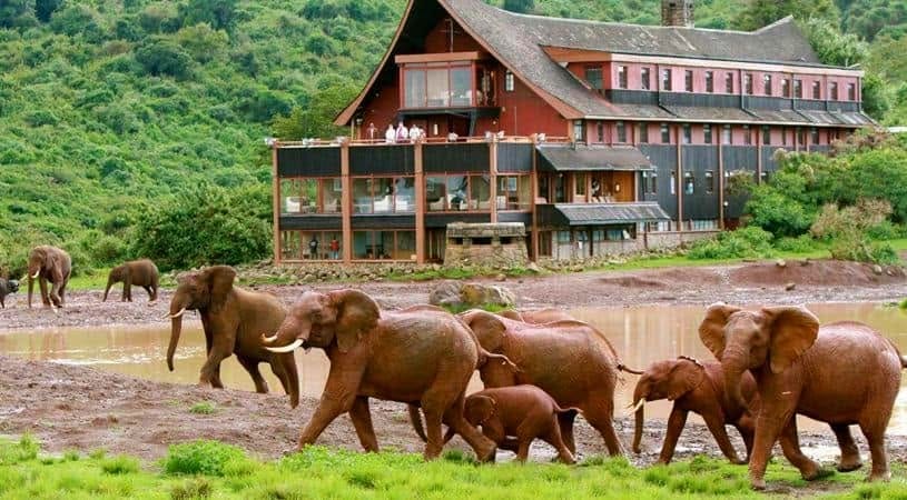 Serena Mountain Lodge