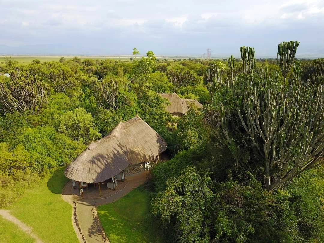 Mbweha Camp