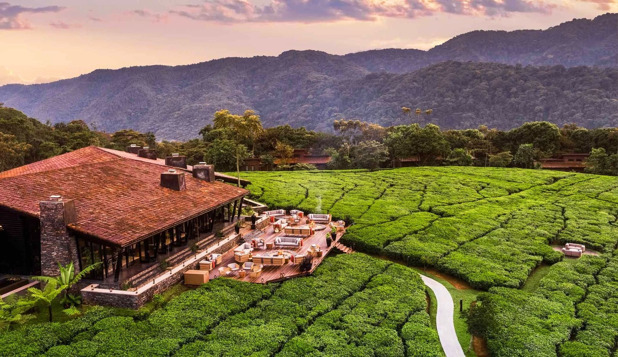 One&Only Nyungwe House