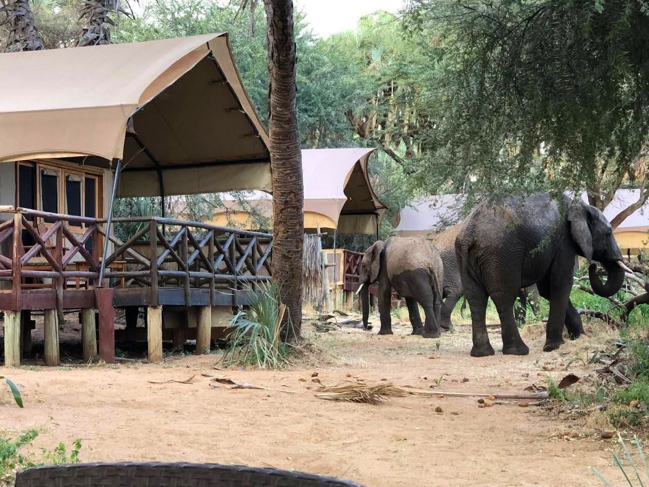 Elephant Bedroom