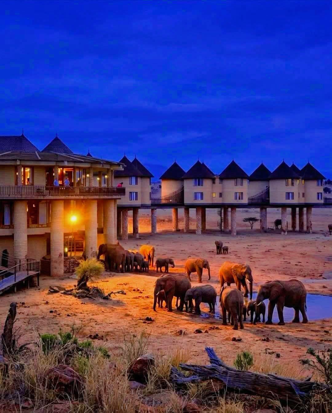 Personally Vetted Lodges & Experiences