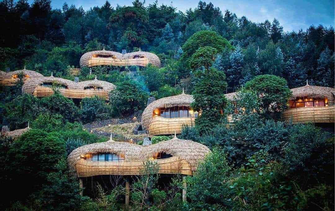 Wilderness Bisate Lodge
