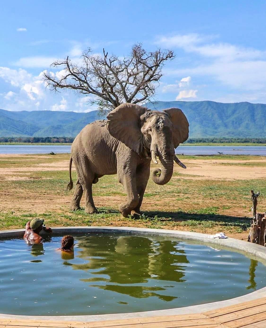 Best of Tanzania Trifecta Parks — Tanzania
