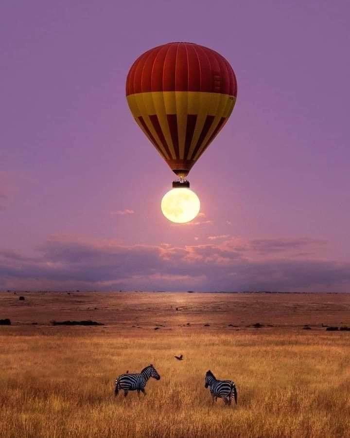 Hot Air Balloon Safaris — A Magical Aerial Safari Experience