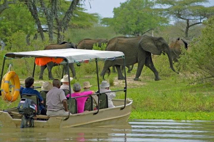 Boat safari