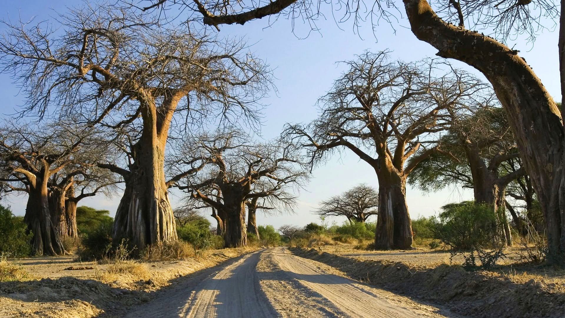 Tanzania