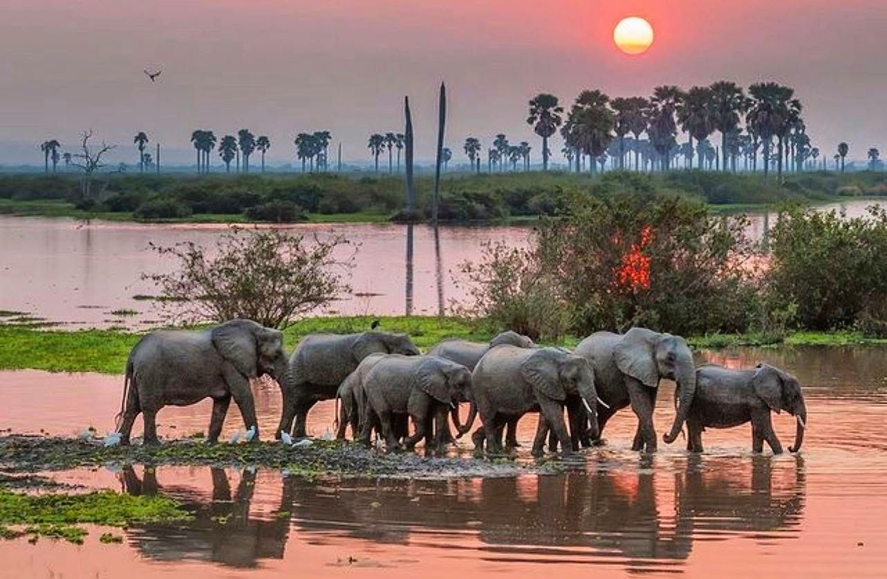 Nyerere National Park