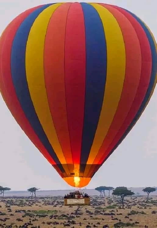 Hot Air Balloon Safaris — A Magical Aerial Safari Experience