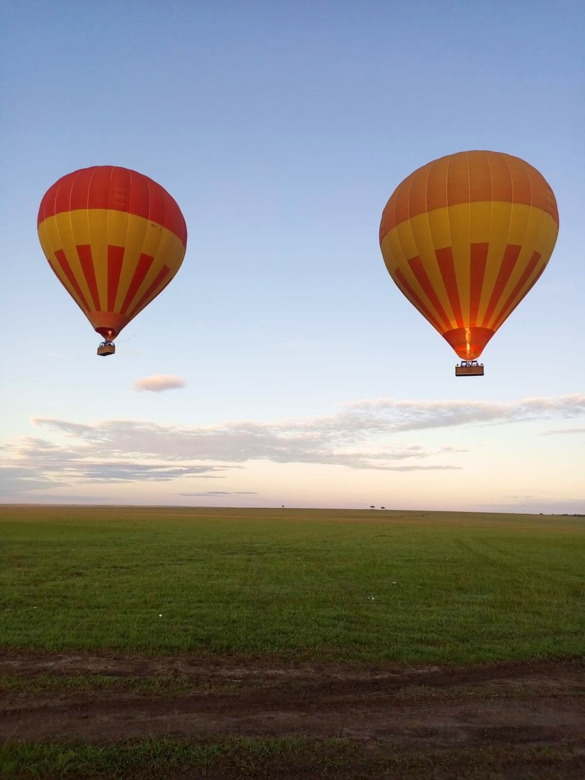 Hot Air Balloon Safaris — A Magical Aerial Safari Experience
