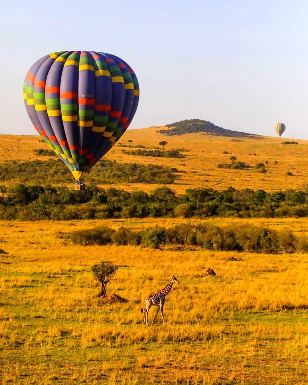 Hot Air Balloon Safaris — A Magical Aerial Safari Experience