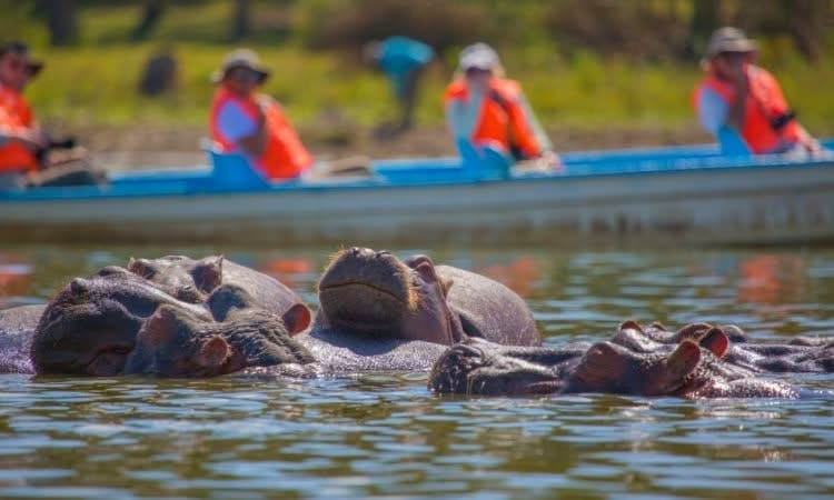 Boat Safaris — A Journey Through Untamed Waters