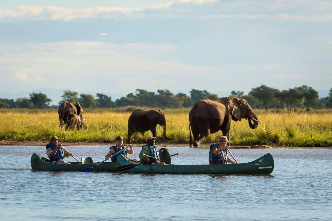 Boat Safaris — A Journey Through Untamed Waters