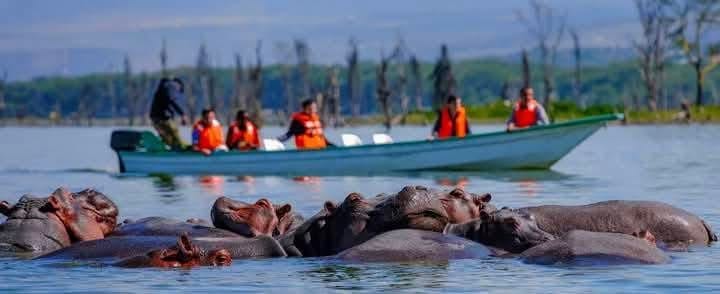 Boat Safaris — A Journey Through Untamed Waters