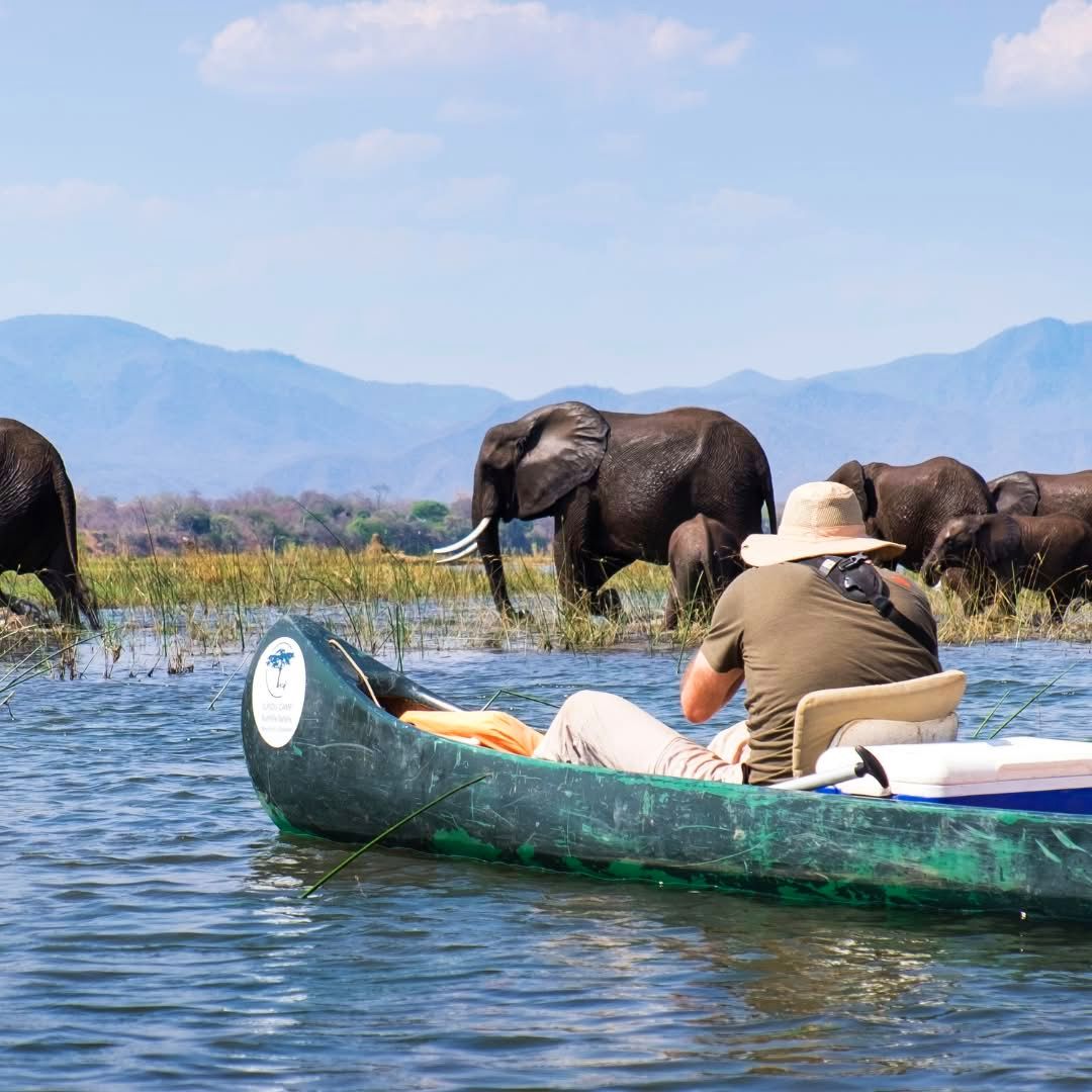 Boat Safaris — A Journey Through Untamed Waters