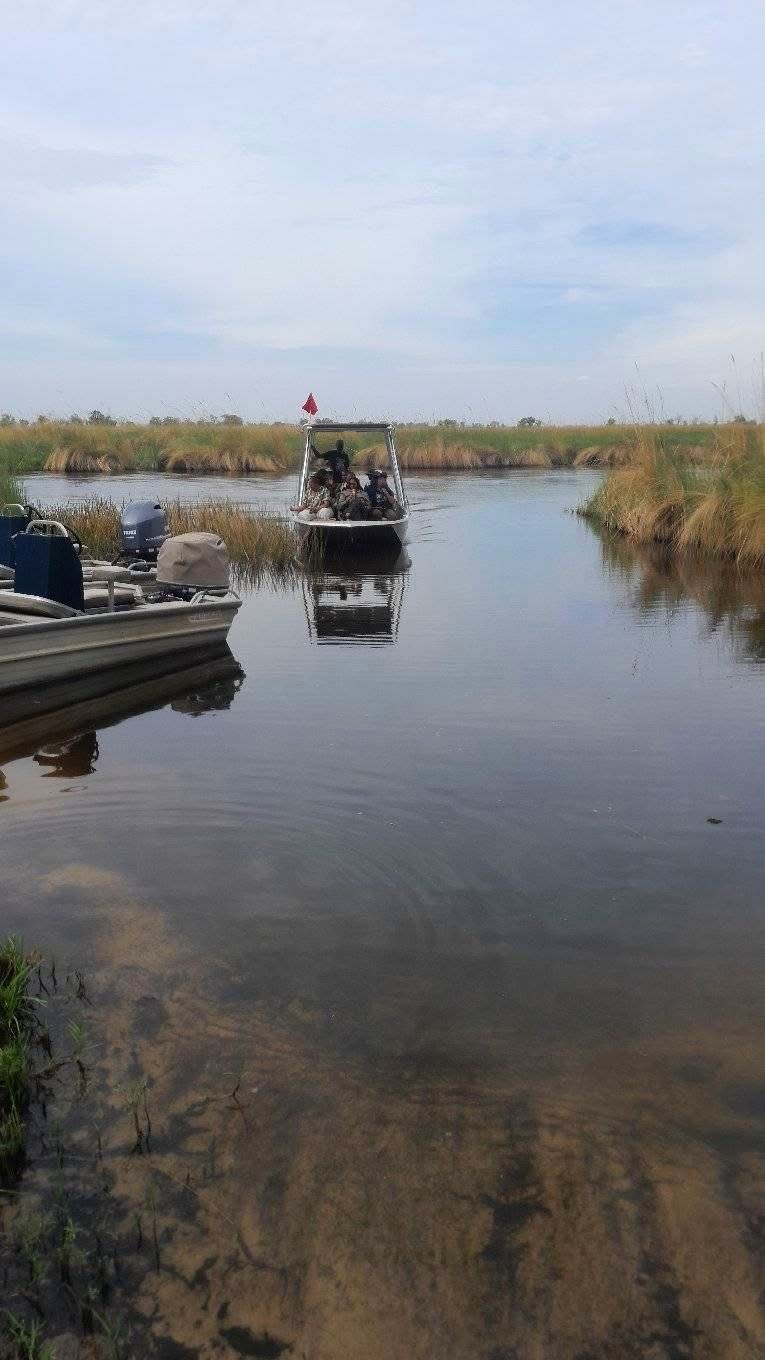 Boat Safaris — A Journey Through Untamed Waters
