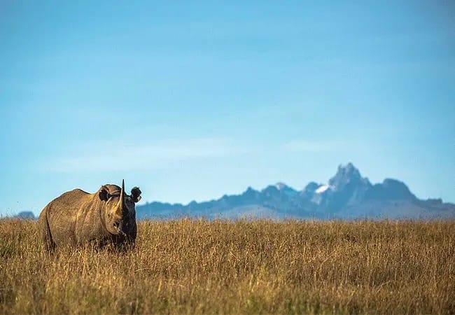 Conservation activities