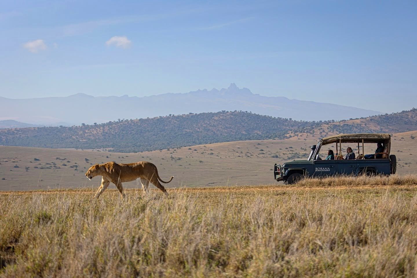 Game drives