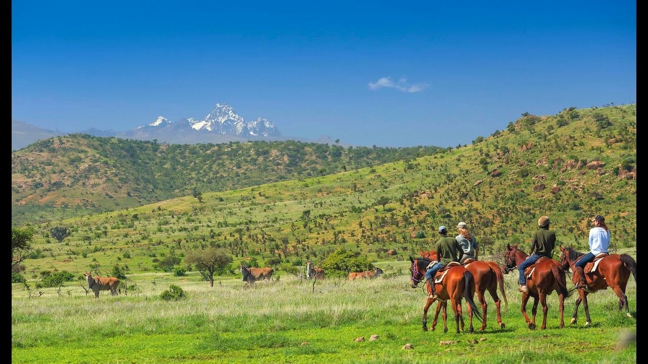 Horseback safaris