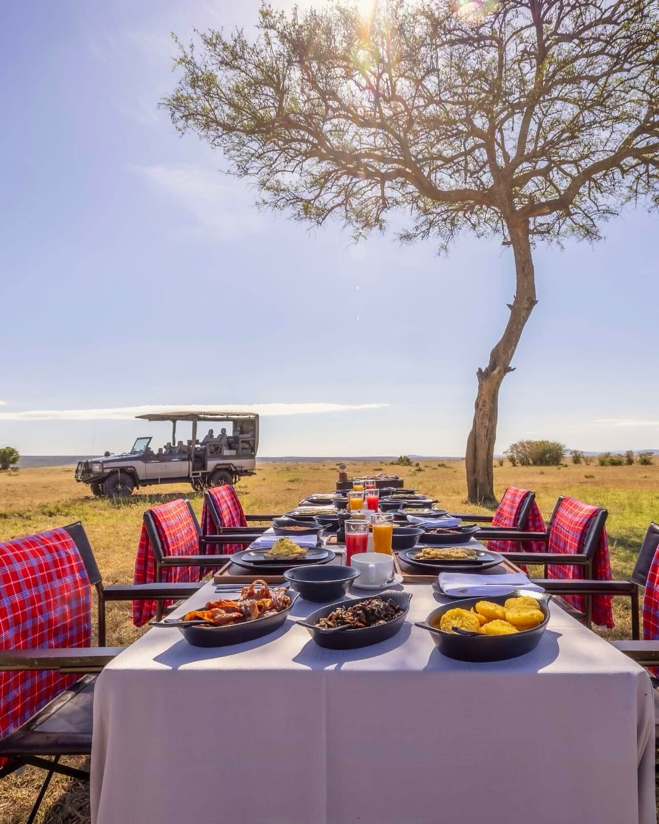 Bush Dining — A Gourmet Experience in the Wild
