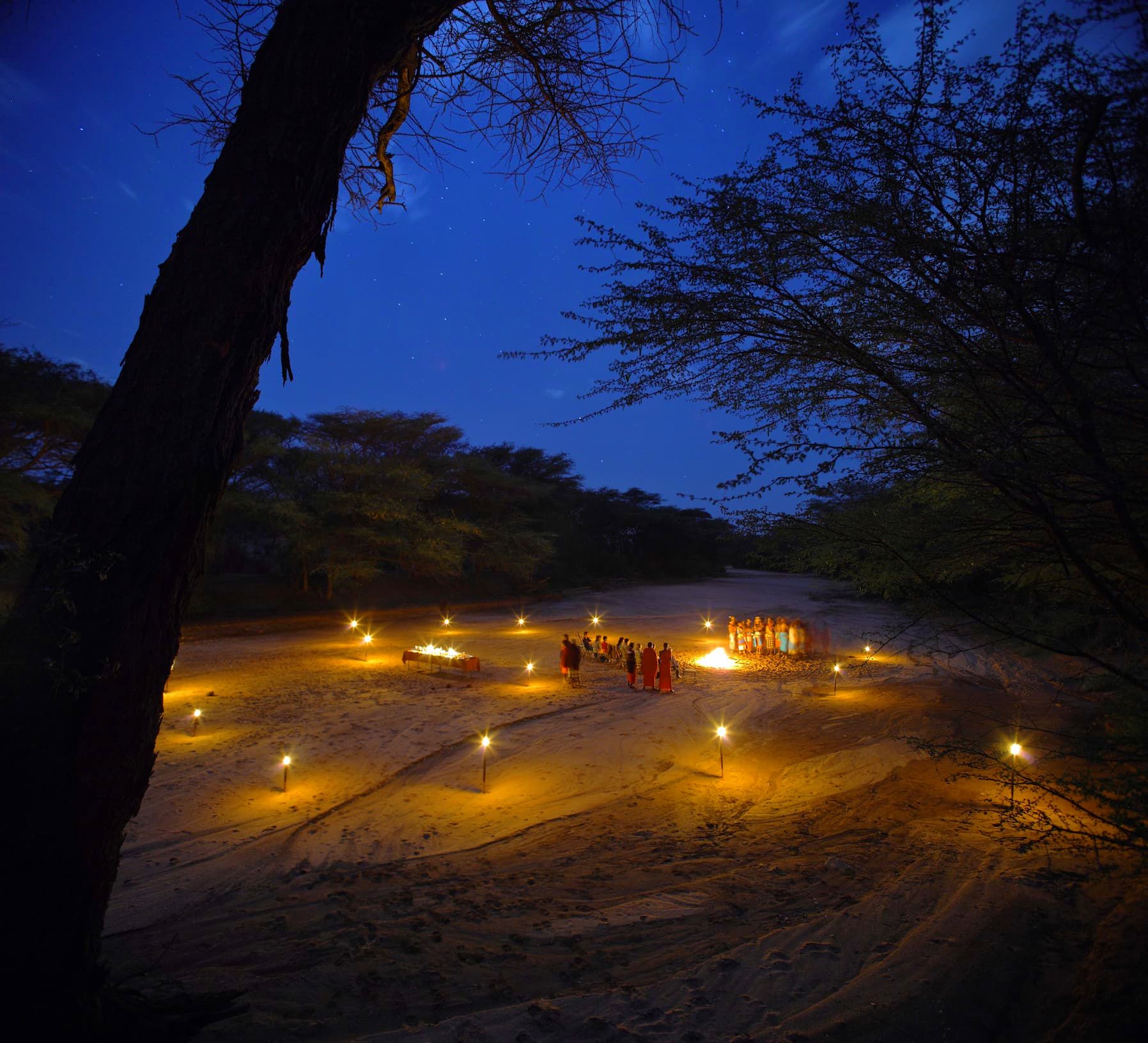 Bush Dining — A Gourmet Experience in the Wild