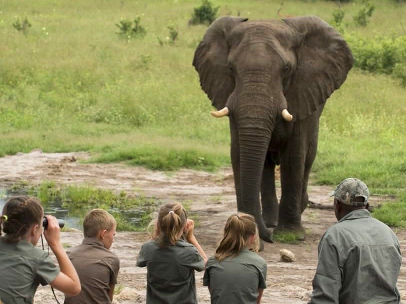 Bush Schools — A Unique Learning Safari Experience