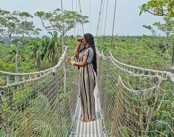 Canopy Walkways — A High-Flying Safari Adventure