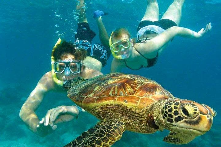 Snorkelling & Marine Parks