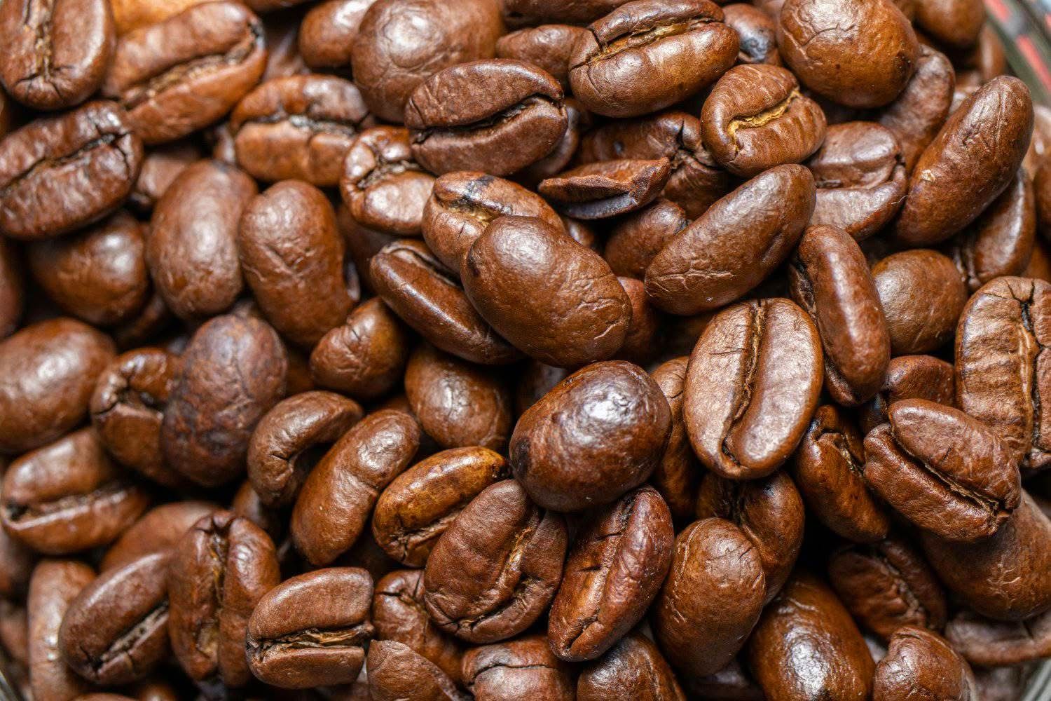 Coffee Tours — A Unique Safari Experience
