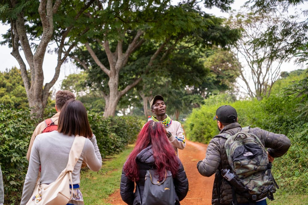 Coffee Tours — A Unique Safari Experience