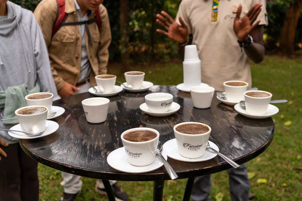 Coffee Tours — A Unique Safari Experience