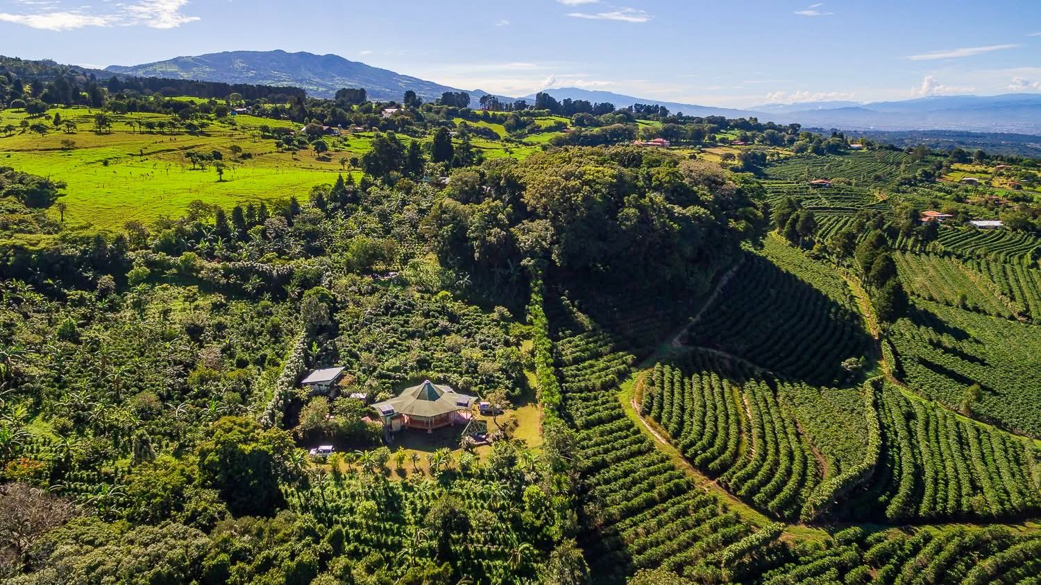 Coffee Tours — A Unique Safari Experience