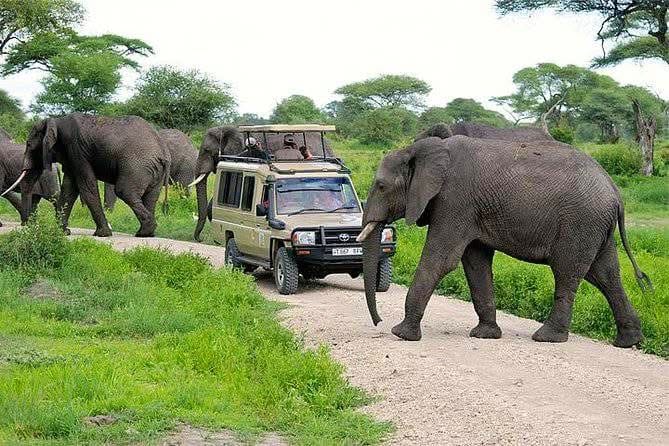 Day Game Drives