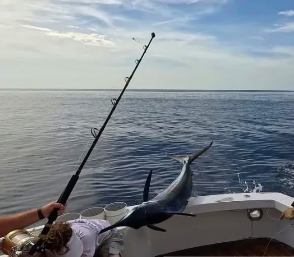 Deep Sea Fishing — An Unforgettable Ocean Safari