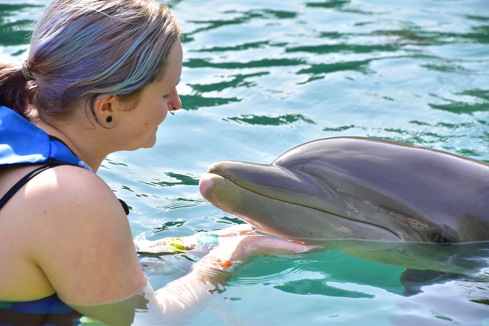 Dolphin Watching — A Safari on the Open Sea