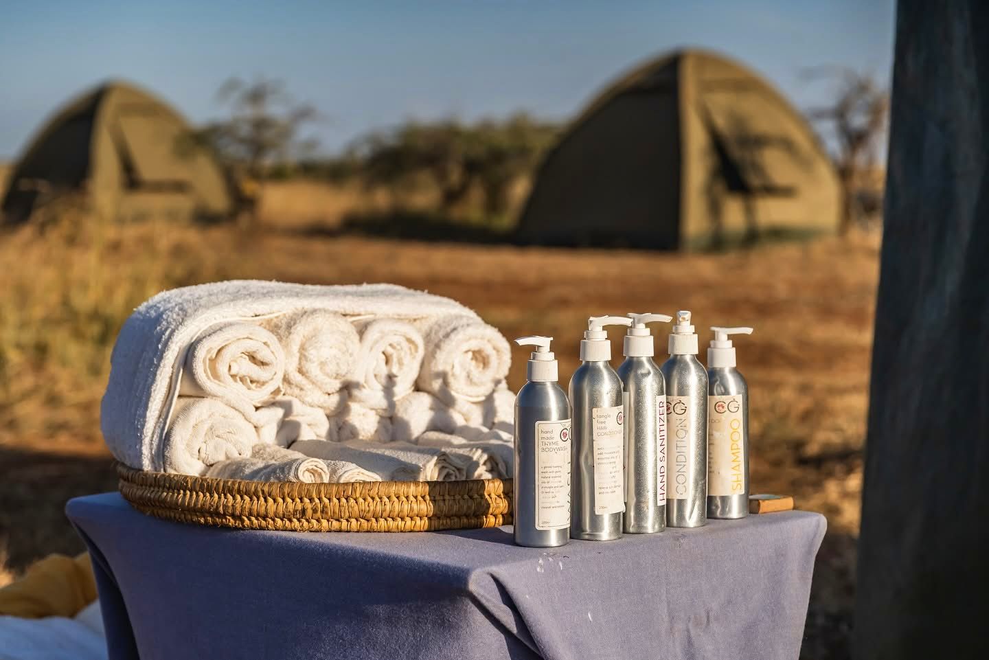 Fly Camping — The Ultimate Wilderness Safari