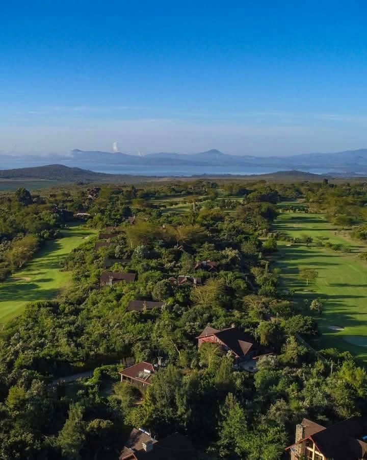 Golf Safaris — Where Luxury Meets the Wild