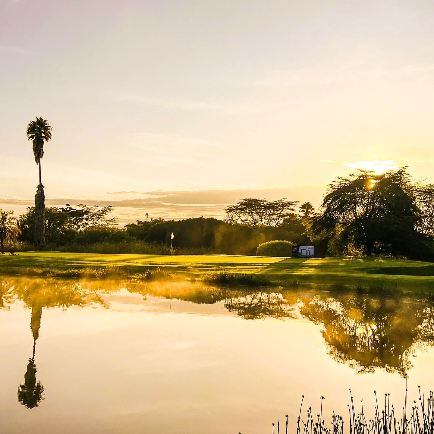 Golf Safaris — Where Luxury Meets the Wild