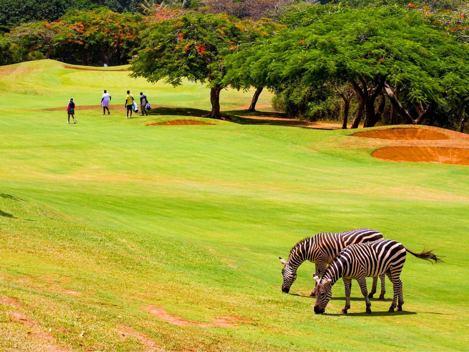 Golf Safaris