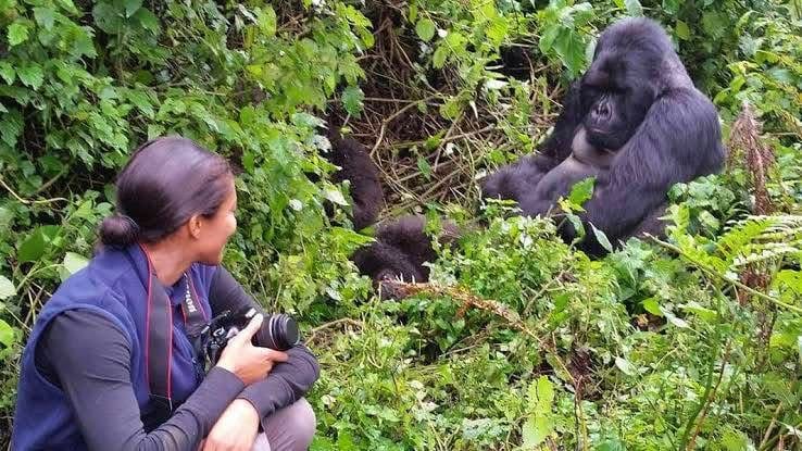 3 Days Mountain Gorilla Trekking — Rwanda