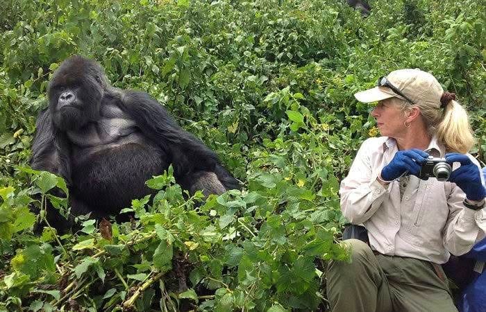 Gorilla Trekking