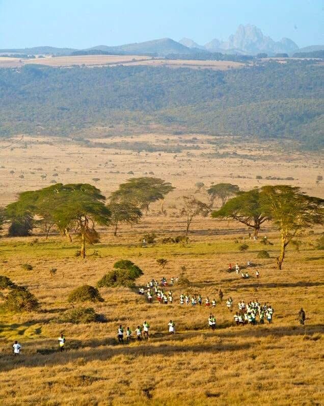Guided Running Safaris — A Thrilling Wildlife Adventure